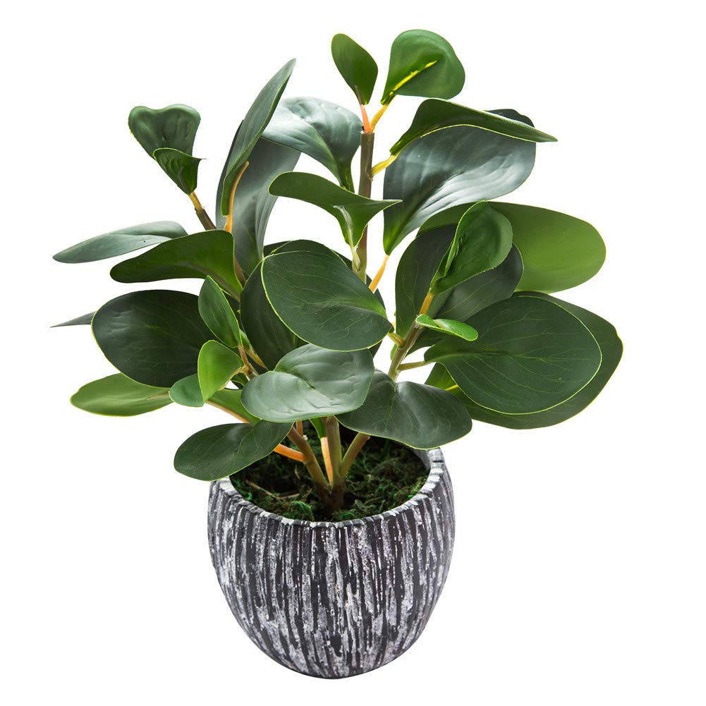 Artificial Plants with Pot – Succulent in Rustic Planter
